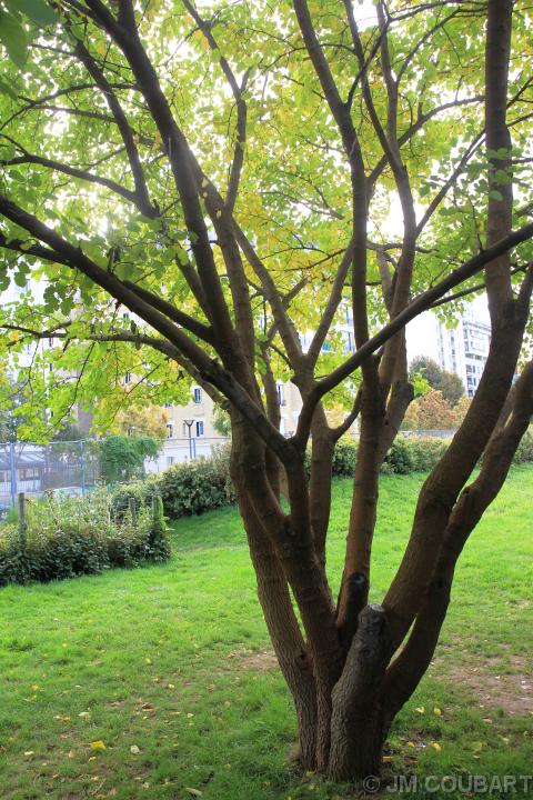 Diapositive suivante